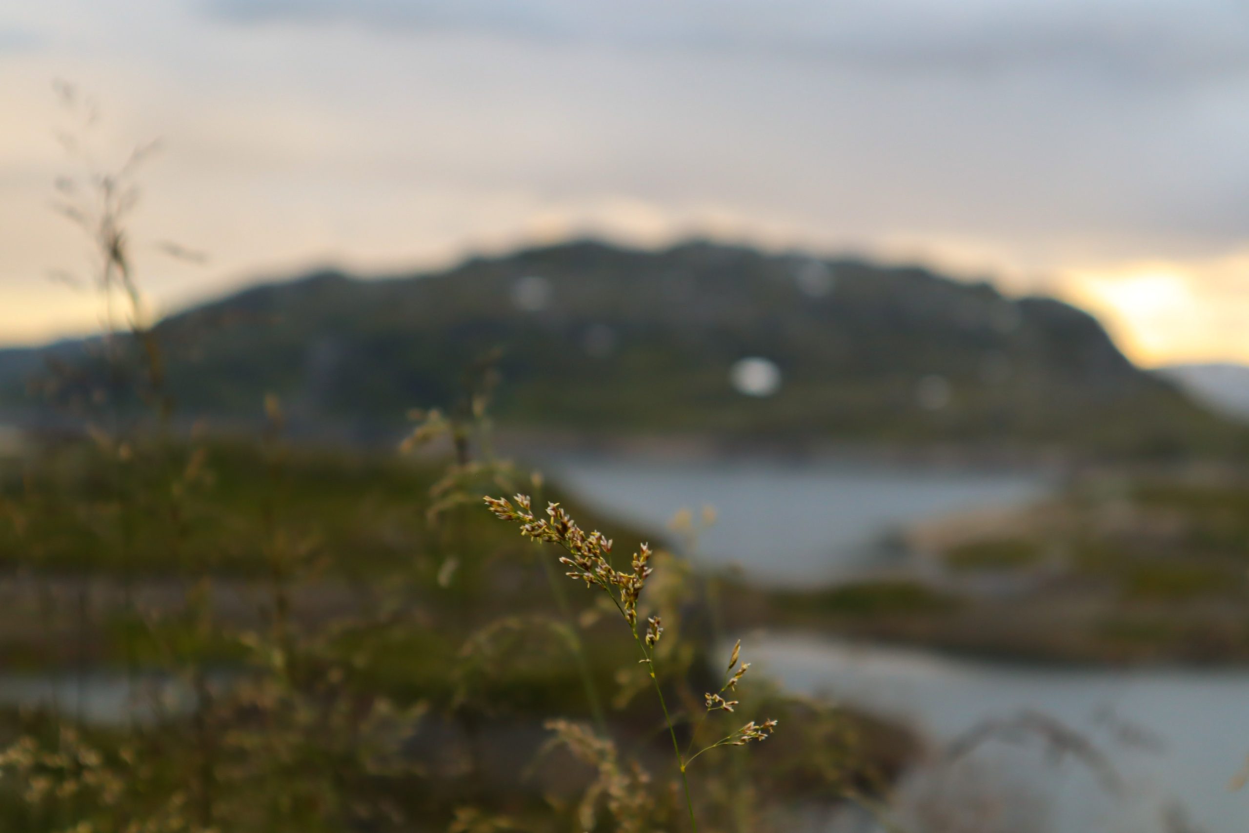 Polski dla Ósmoklasistów